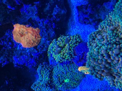 IMG_8744.jpg IMG_8744.jpg