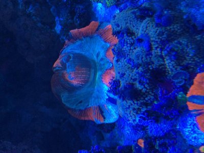 IMG_8740.jpg IMG_8740.jpg