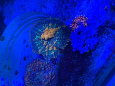 IMG_8748.jpg IMG_8748.jpg