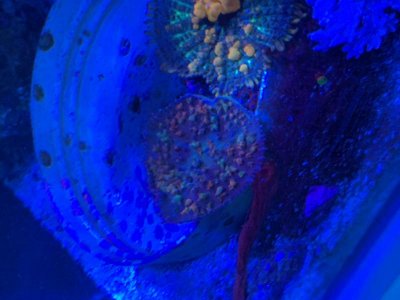 IMG_8749.jpg IMG_8749.jpg