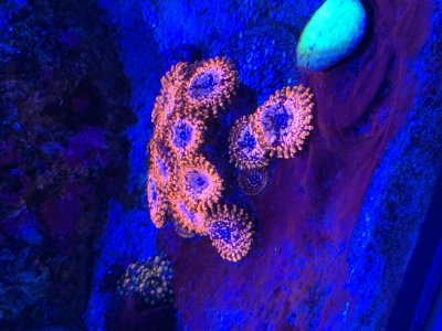 IMG_8750.jpg IMG_8750.jpg