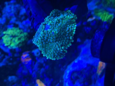 IMG_8761.jpg IMG_8761.jpg