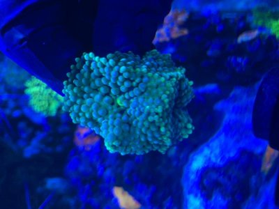 IMG_8762.jpg IMG_8762.jpg