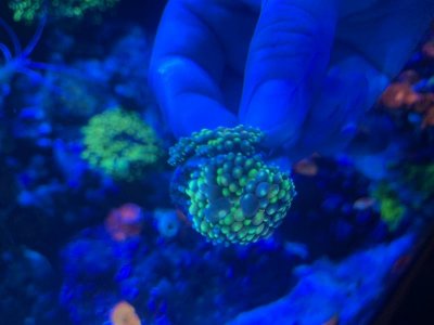 IMG_8764.jpg IMG_8764.jpg