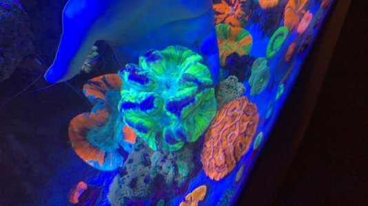 A. $240.jpg A. $240.jpg