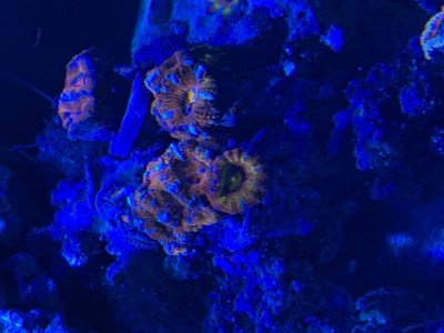 IMG_8757.jpg IMG_8757.jpg