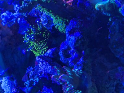 IMG_8752.jpg IMG_8752.jpg