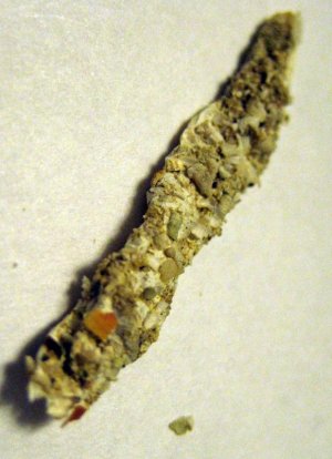 IMG_4080macro edit worm.jpg