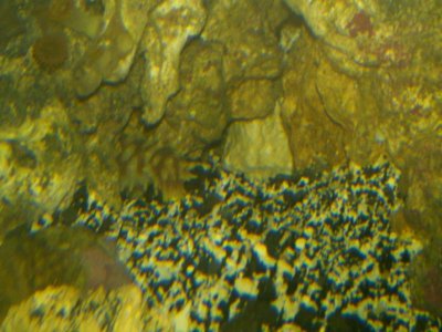 IMG00002-20100512-2026.jpg