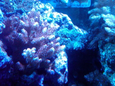 IMG00062-20100526-1501.jpg