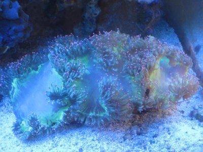 IMG_3200.JPG