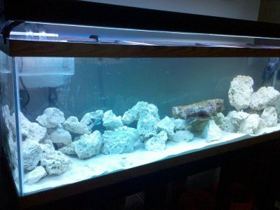 My tank.jpg