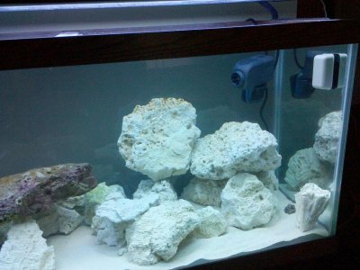 2010-05-13 14.44.44.jpg