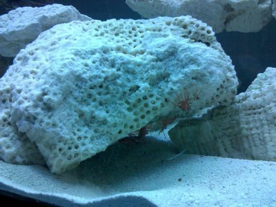 2010-05-11 15.48.55.jpg