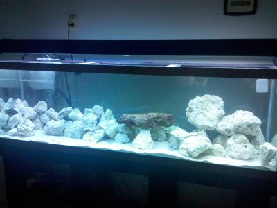 2010-05-11 13.23.05.jpg