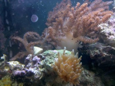 2010-05-13 19.03.28 2.jpg