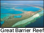 Great Barrier Reef.jpg