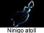 Ninigo Atoll.jpg
