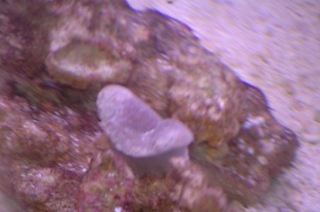 DSC_2864.jpg DSC_2864.jpg