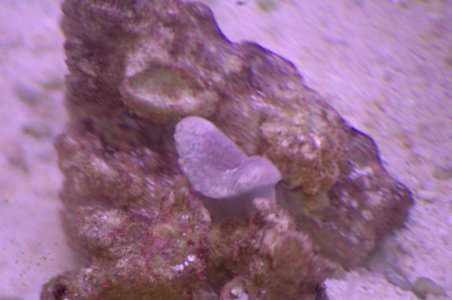 DSC_2865.jpg DSC_2865.jpg