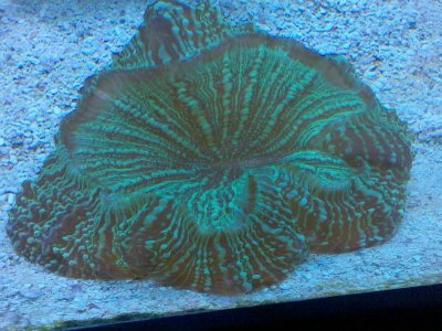 2010-05-27%2020.10.15[1].jpg