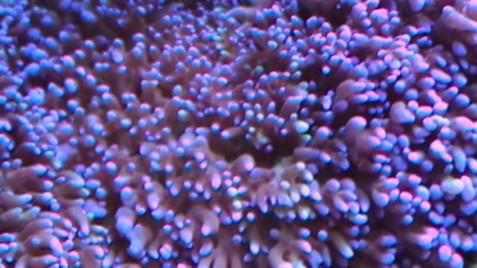 IMGA0392.jpg