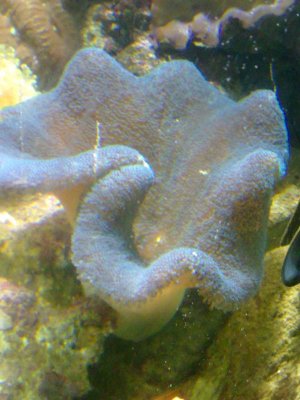 15052010148.jpg 15052010148.jpg