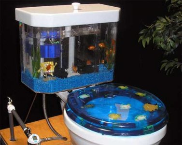AquariumToilet.jpg
