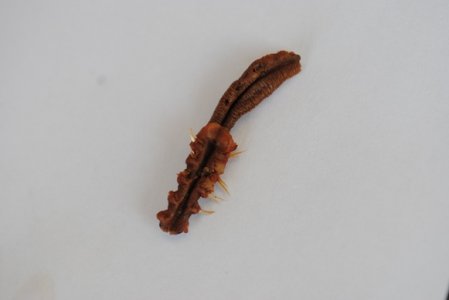 xDSC_0010.JPG