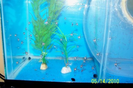 100_9403.jpg
