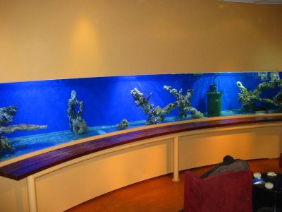 IMG_1347.jpg