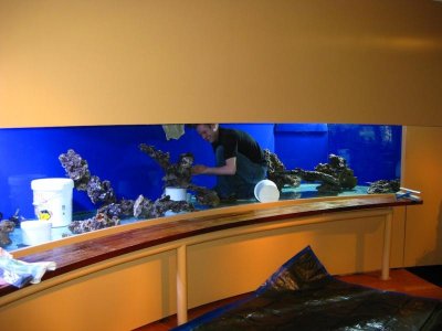 IMG_1339.jpg