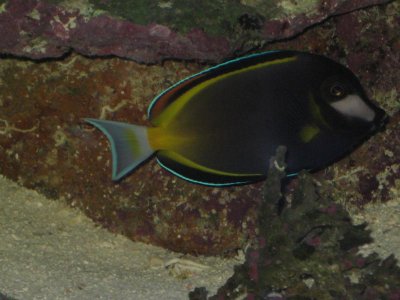 IMG_3396.jpg