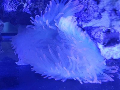 20200919_132043.jpg