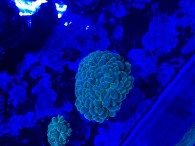 IMG_7642.jpg