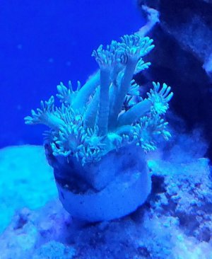 20200927_195933.jpg