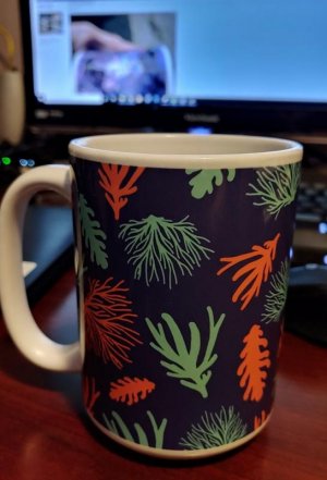 mug.jpg