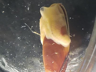 20201007_160617.jpg