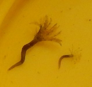 Cropped2.jpg
