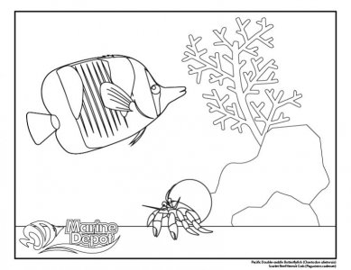 Coloring page 1.jpg