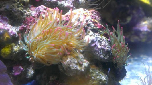IMAG0889.jpg