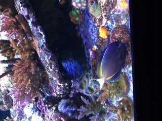 IMG_1594.JPG