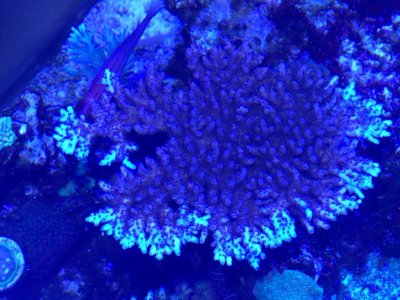 4C17D435-8B11-46CB-88CB-9AC85D510D52.jpg