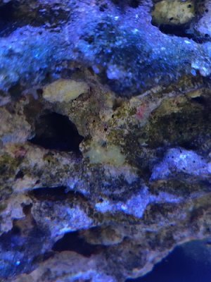 IMG_20201028_123114.jpg