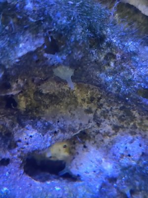 IMG_20201028_123104.jpg