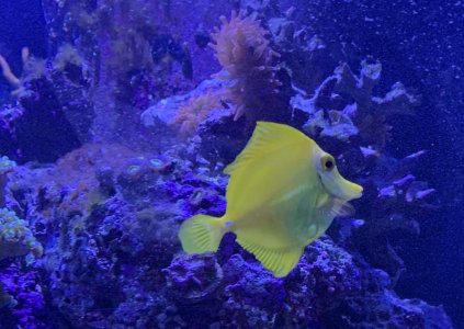 4C1E80E1-DD53-4070-9EB9-654D445E219E.jpg