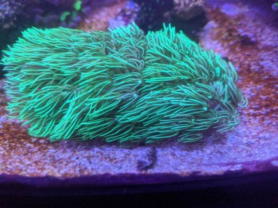 IMG_20200504_172945.jpg IMG_20200504_172945.jpg