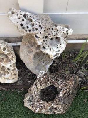 Fiji Rock-1.jpg