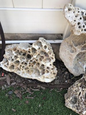 Fiji Rock-2.jpg