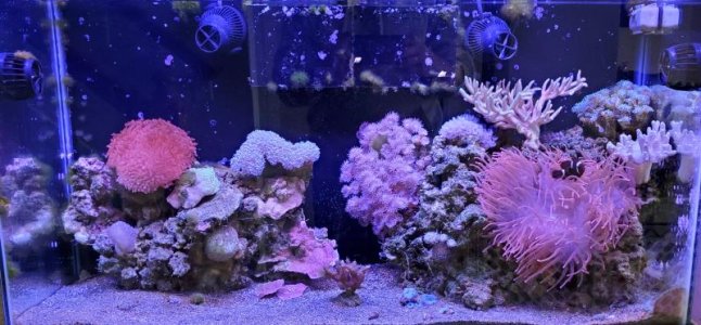 20201121_100327.jpg